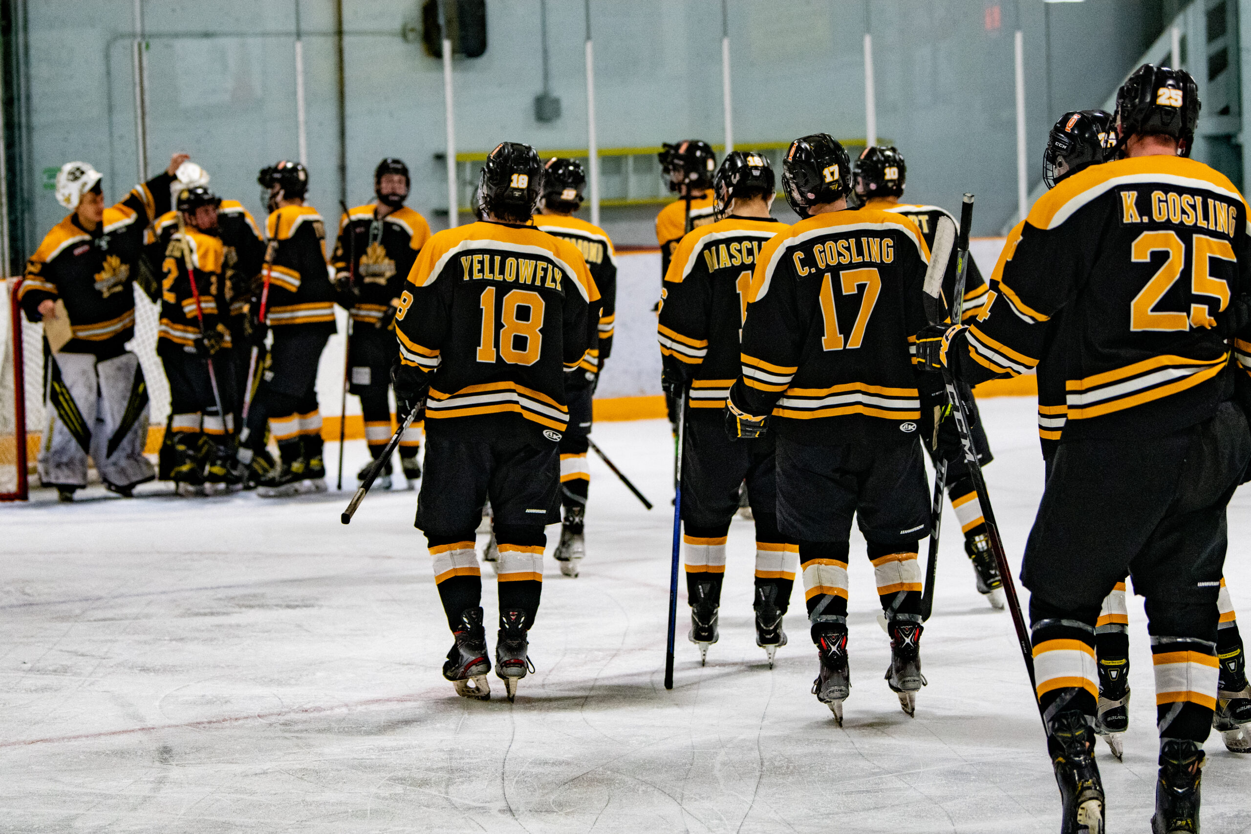 Wheatland Kings eliminated from spring playoffs